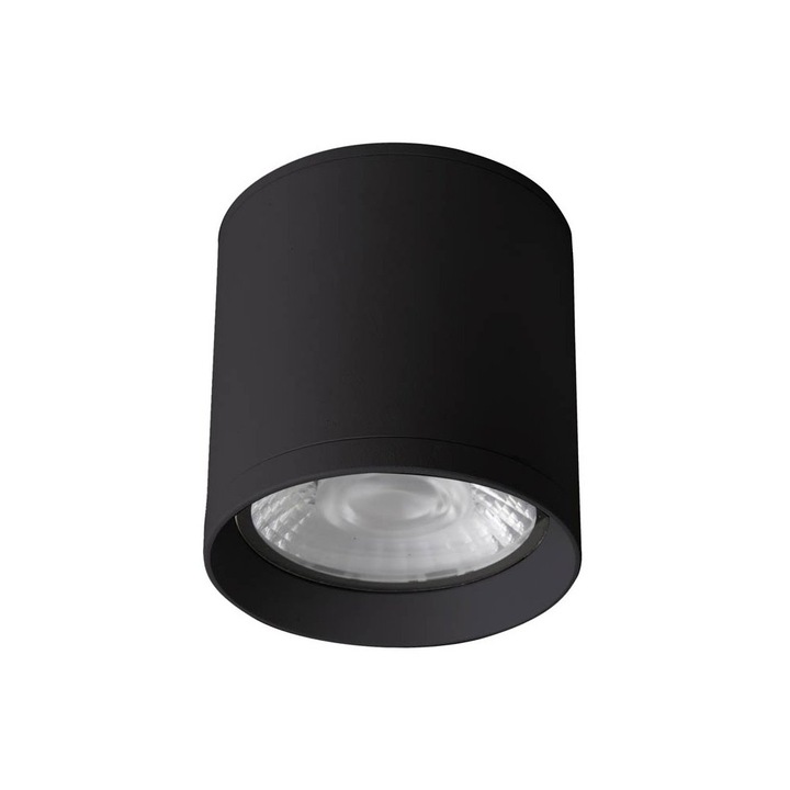 Aplica exterioara LED 15W CERVIA, IP54, neagra, cu sursa de lumina inclusa