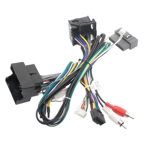 Accesorii electronice auto