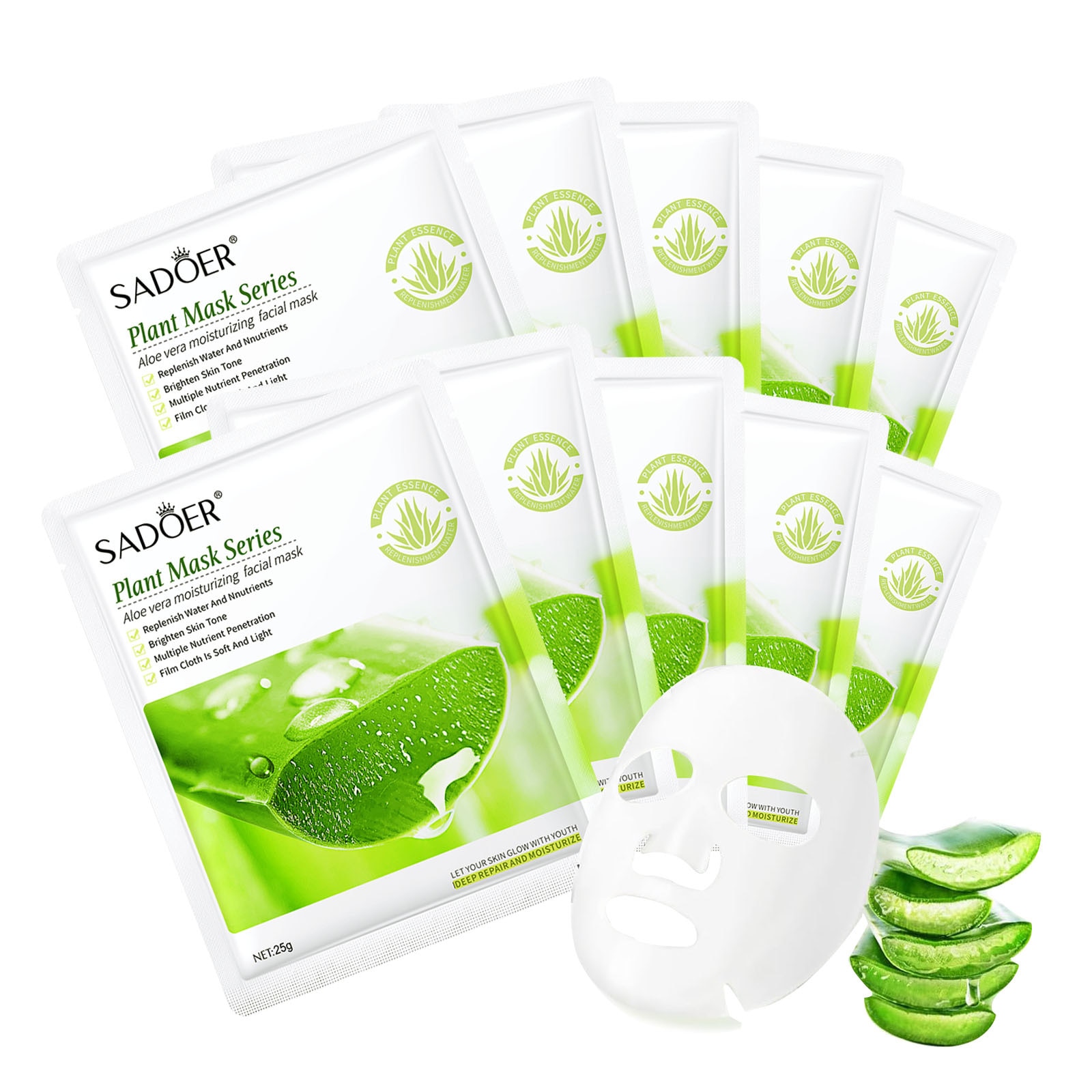 bambus zierpflanze Bambuspflanze in Hydrokultur kaufen – Green Me Up main image 0