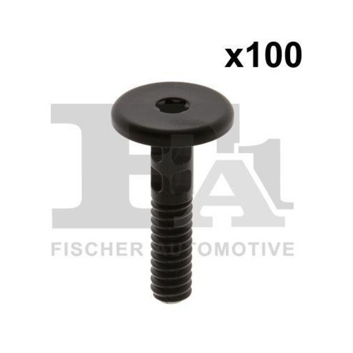 Surub FA1 10-70002.100