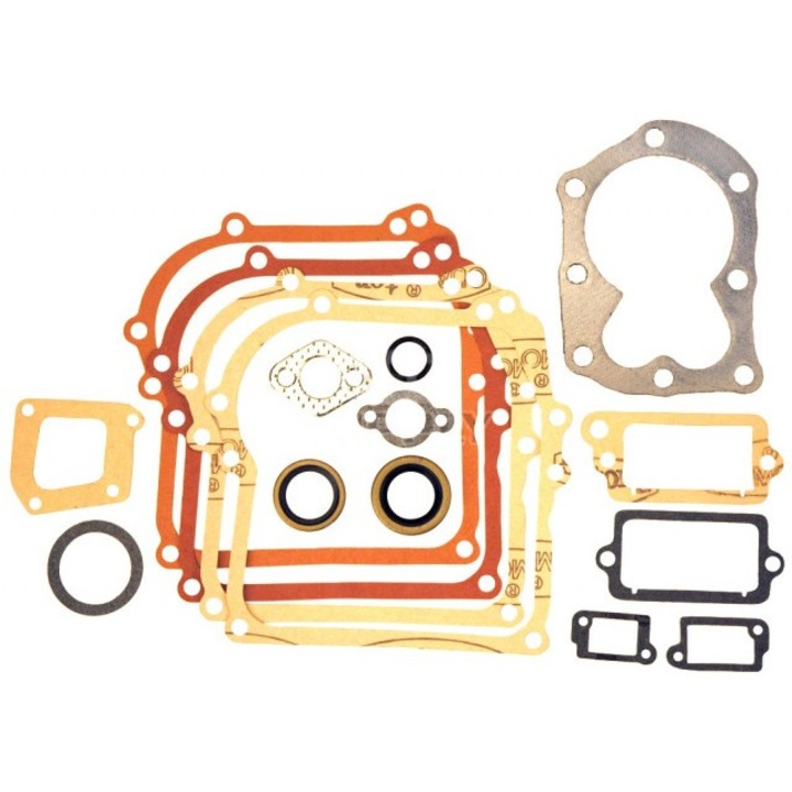 Комплект гарнитури за двигател Briggs & Stratton 3.5 HP (серия 298989)