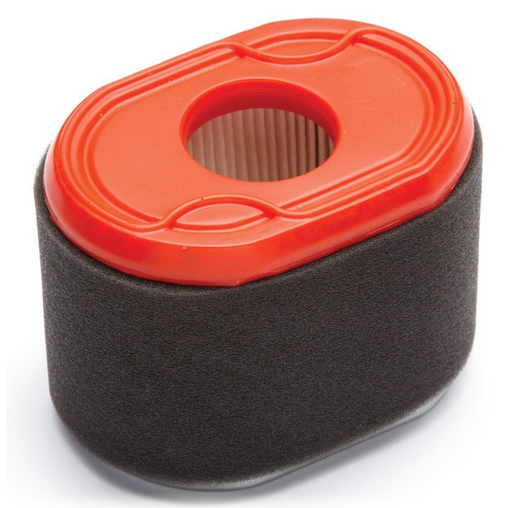 Filtru de aer motor Briggs & Stratton 796970