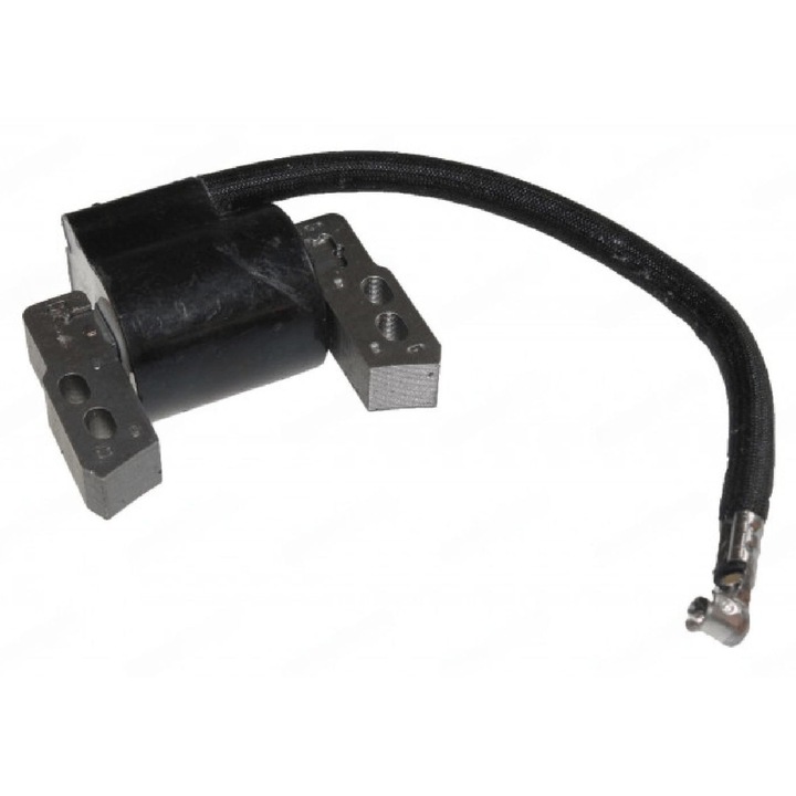 Dispozitiv de aprindere Briggs&Stratton 796964