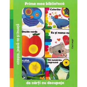 Activitati extracurriculare