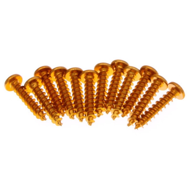 Set suruburi Moto, VICMA, 12 Suruburi, 6x30 mm, auriu