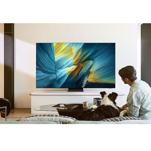 Televizor Samsung OLED QE55S95FATXXN, 139 cm, 4K, 165 Hz
