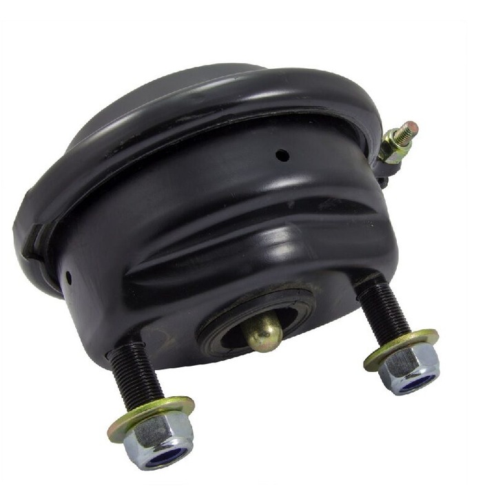 Camera franare 24 disc EBS Scania