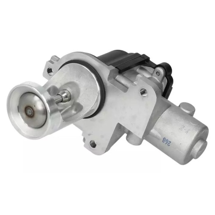 EGR szelep, Pierburg, VW 1,9TDI/2,0TDI, elektromos, 12V