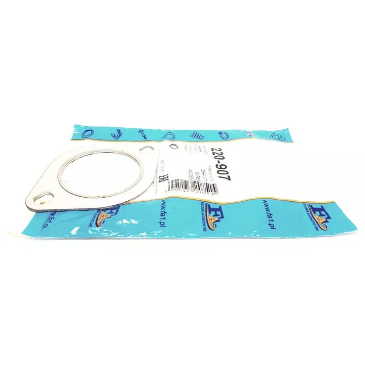 Garnitura de teava, Fischer, Pentru Renault