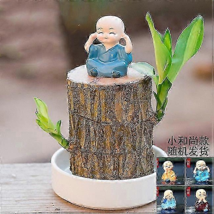 Mini plante artificiale din lemn brazilian, 10cm, purificare aer, aducatoare de noroc