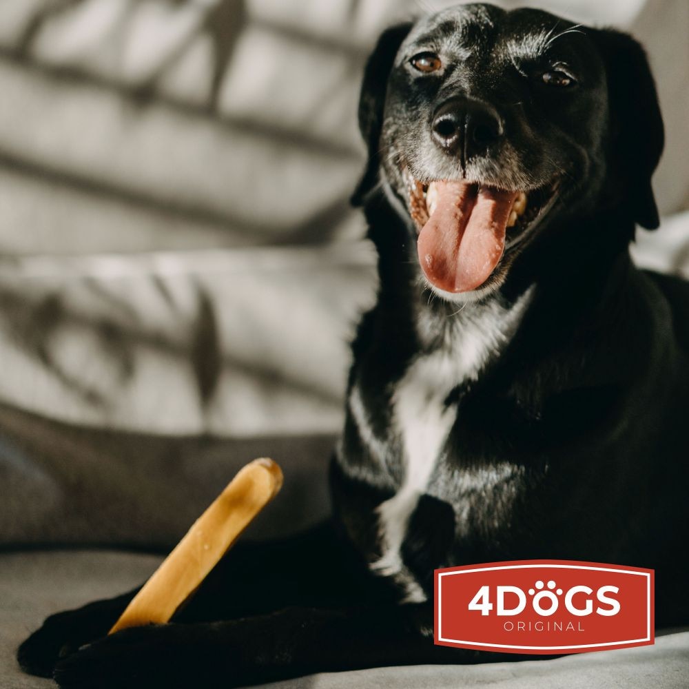 Лакомства за кучета, 4DOGS ORIGINAL, Сиренови чипсове, 10 броя, без ...