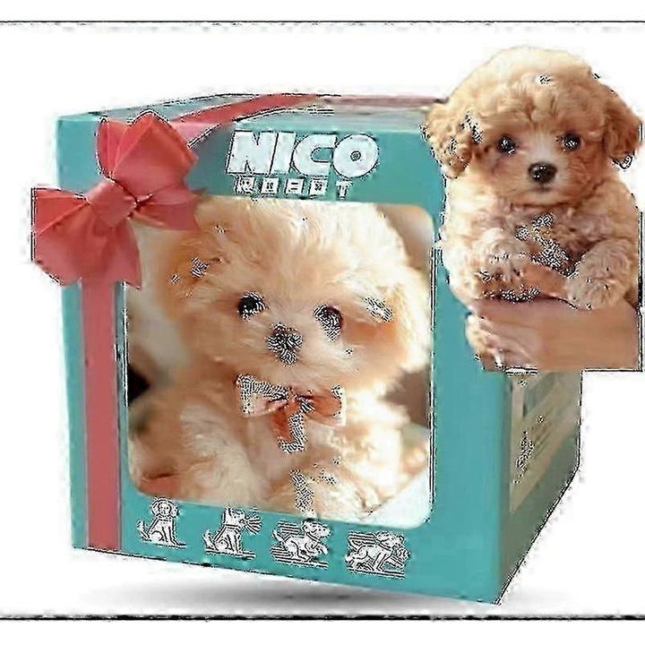 Robot de jucarie, Nico, caine robotic interactiv, miscari realiste, 30x20x15cm