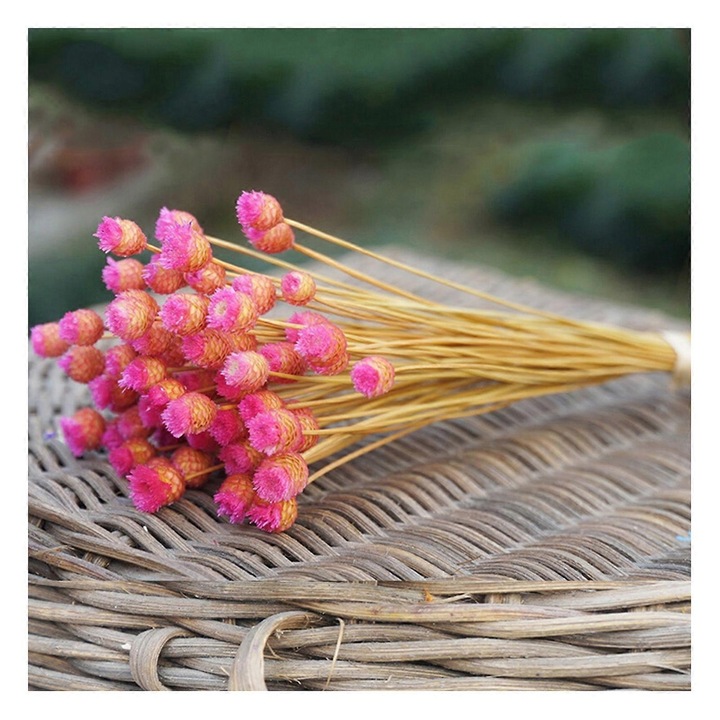 Set 50 fire de flori uscate, roz