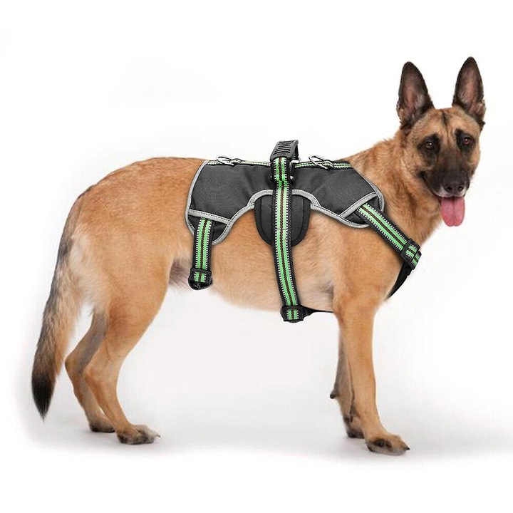 Ham pentru caini, verde, nylon, ajustabil, marimea S, circumferinta pieptului 53-74cm