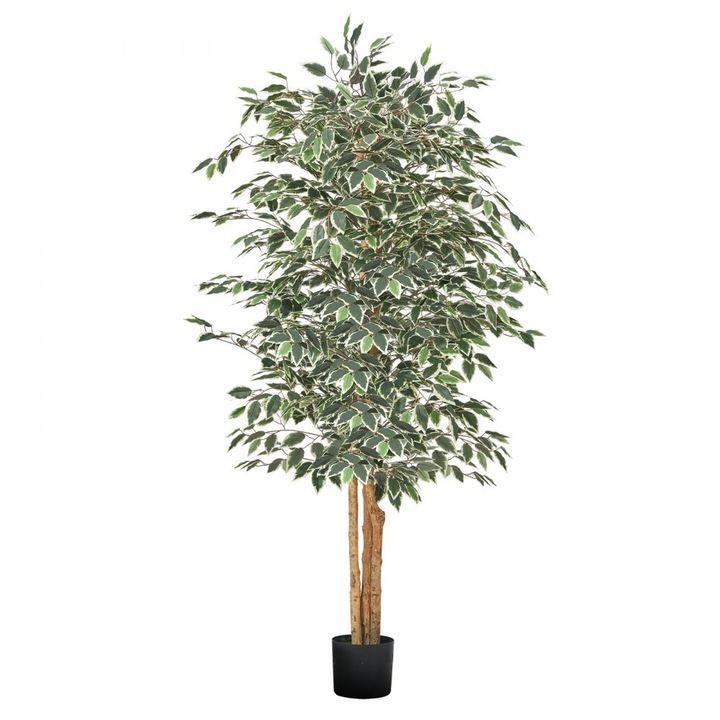 Ficus Artificial, 180 cm, pentru Decor Interior