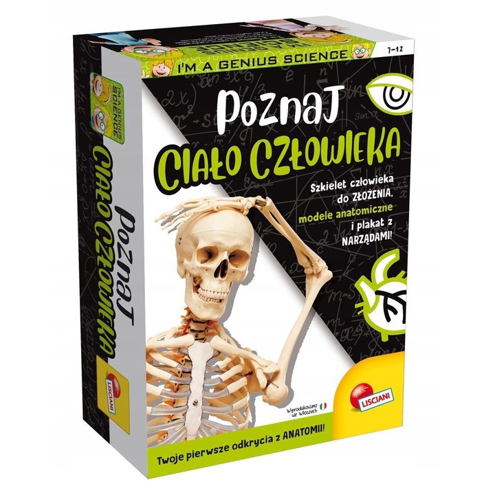 Set educativ Lisciani, Poznaj cialo czlowieka, model schelet uman, 4 modele anatomiczne, 15x21cm
