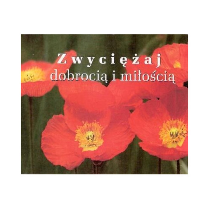 Perelka 193, Edycja Swietego Pawla, Fictiune, 2023