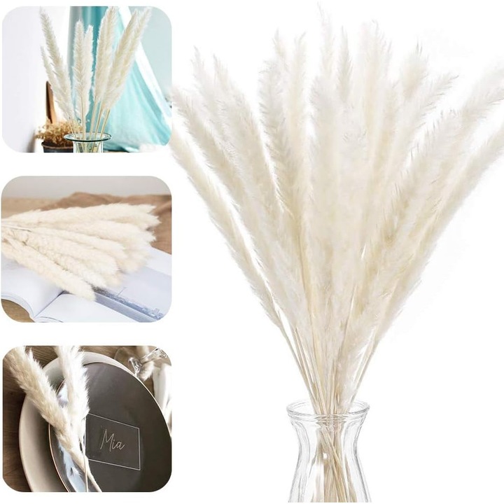 Buchet flori uscate HERUSI pampas natural 60-70cm 30buc