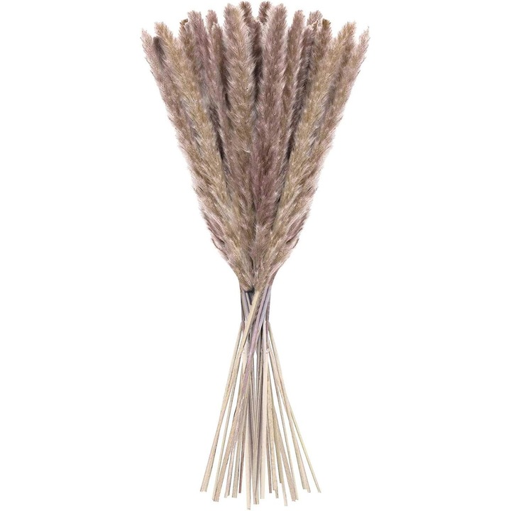 Flori uscate de stuf, HERUSI, 60 cm, natural, set 15 buc