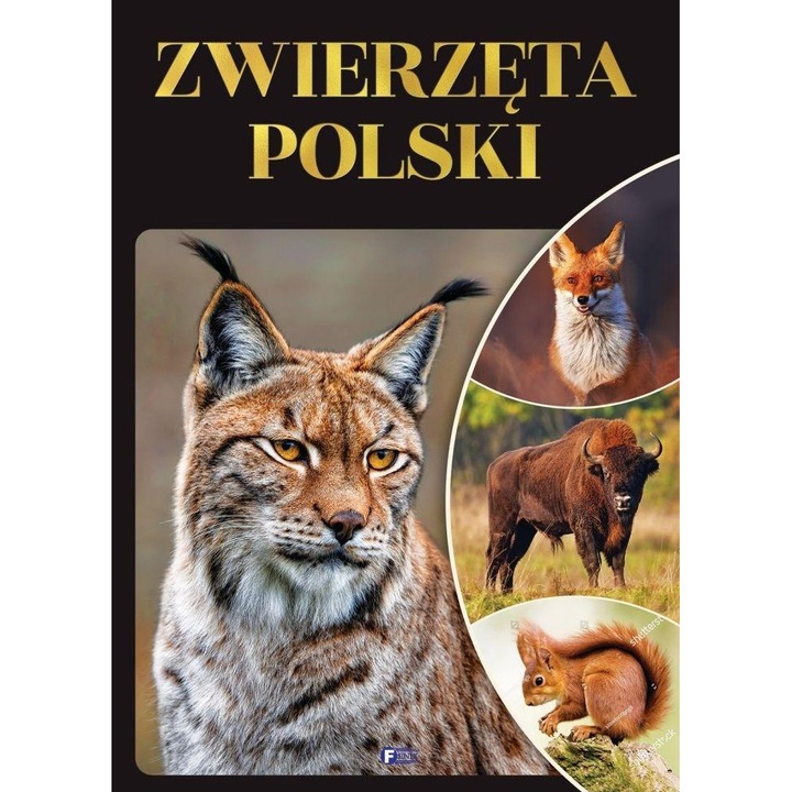 Album Zwierzeta Polski, Fenix, fauna, fotografii mari, 2023