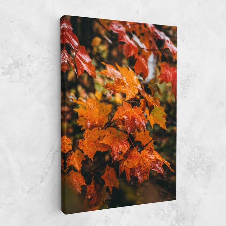Картина на платно, ARTHUB, 80x120 cm, Спалня и Дневна, Пейзажи, Есен, Orange Autumn Leaves