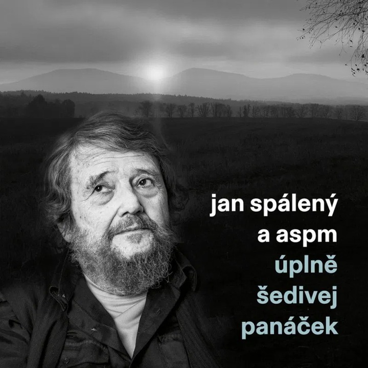 Spaleni Jan & ASPM: Uplne sedivej panacek - CD, cseh zene