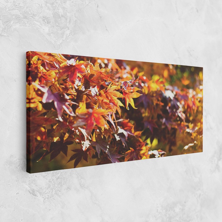 Картина на платно, ARTHUB, 40x80 cm, Спалня и Дневна, Пейзажи, Есен, Dark Red Leaves