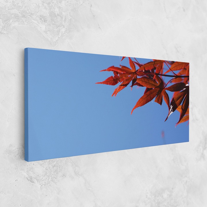 Картина на платно, ARTHUB, 40x80 cm, Спалня и Дневна, Пейзажи, Есен, Sky Autumn Leaves