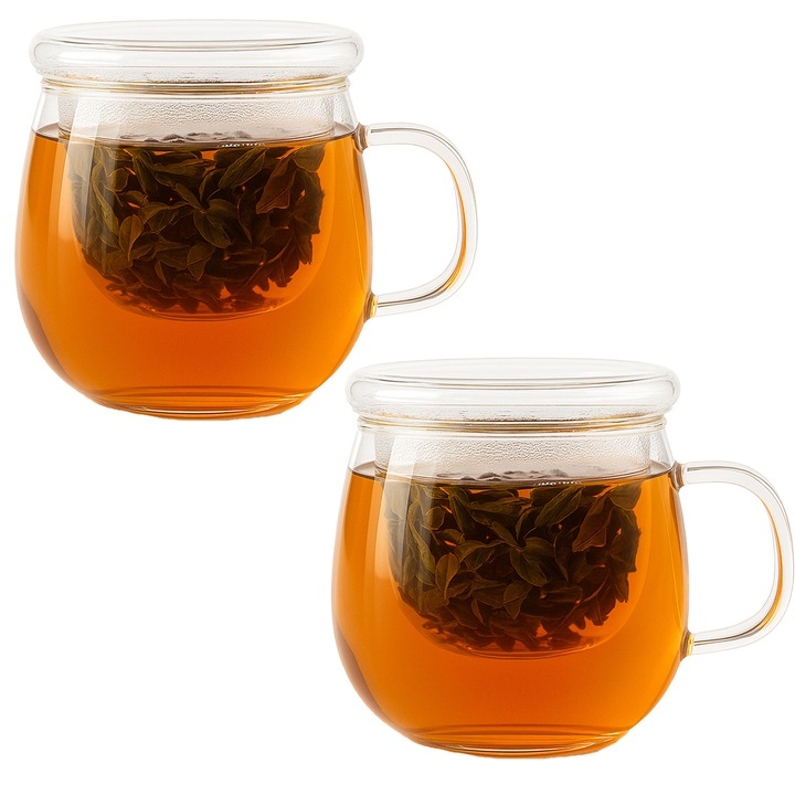Set 2 cani moderne din sticla cu infuzor pentru ceai si ierburi 440 ml – design elegant, sticla borosilicata