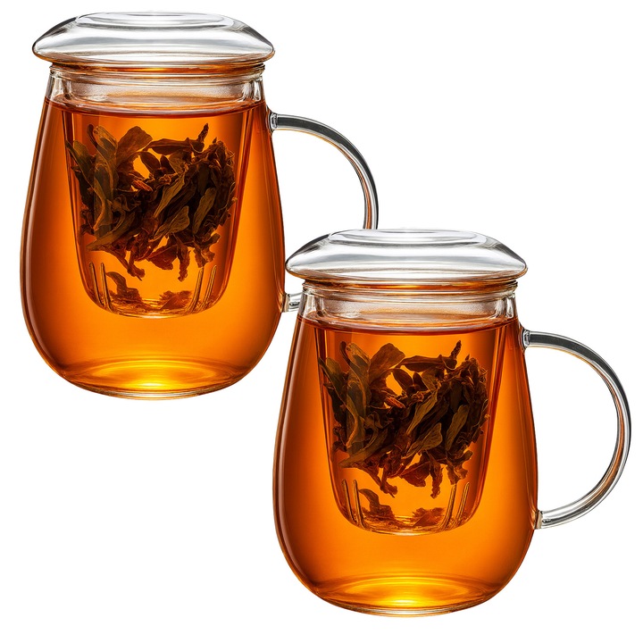 2 modern üvegpohár szett teafőzővel teához és gyógynövényekhez, 580 ml – elegáns design, boroszilikát üveg