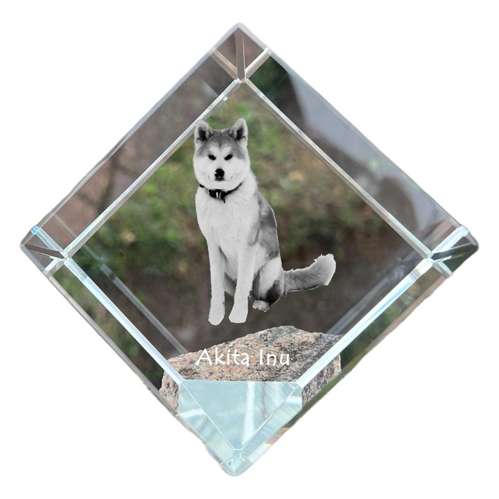 Cubica din cristal cu fotografie personalizata, Art-Dog, 8x8x8cm, set elegant de birou
