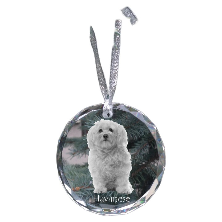 Glob de Craciun personalizat Havanez, Art-Dog, cristal, 7x1cm