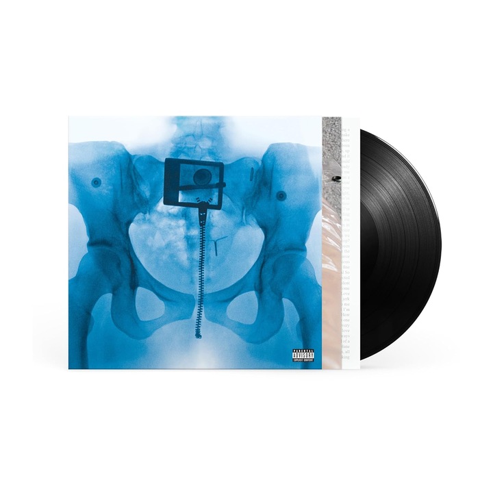 Lorde - Virgin, Universal, 11 piese