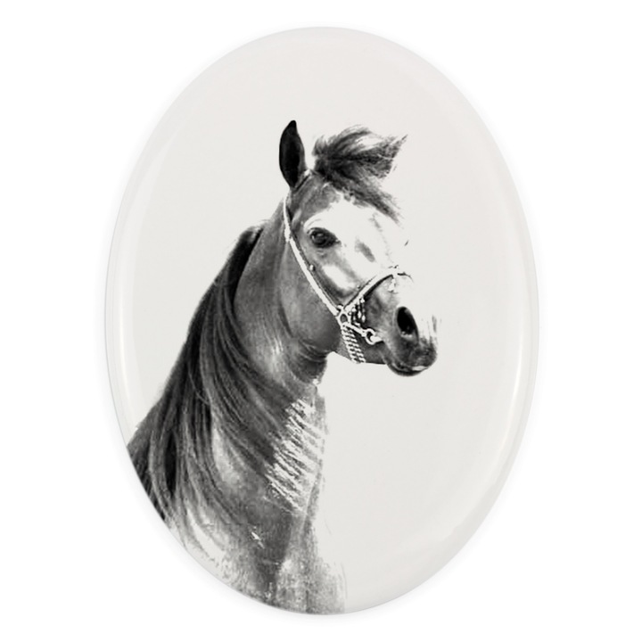 Placa memoriala pentru animale, Art-Dog, ceramica