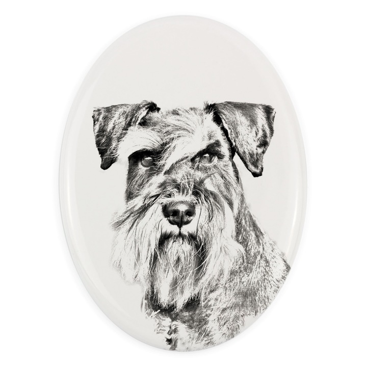 Placa ceramica personalizata cu fotografie, Art-Dog, 10,5x7,5cm, ovala, pentru amintirea animalului de companie