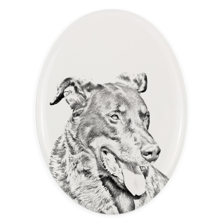 Placa ceramica personalizata cu fotografie, Art-Dog, 10,5x7,5cm, ovala, pentru amintirea animalului de companie