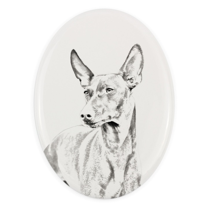Placa ceramica personalizata cu fotografie, Art-Dog, 10,5x7,5cm, ovala, pentru amintirea animalului de companie