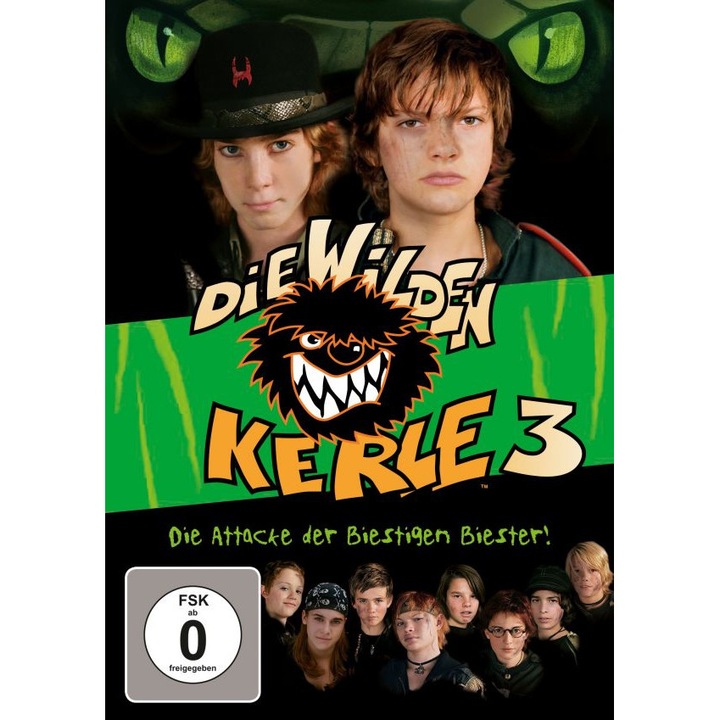 Die Wilden Kerle 3 [DVD]