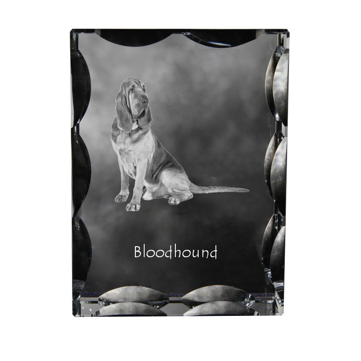 Kristály képkeret, Art-Dog, személyre szabott, 12x9x5cm, Bloodhound modell