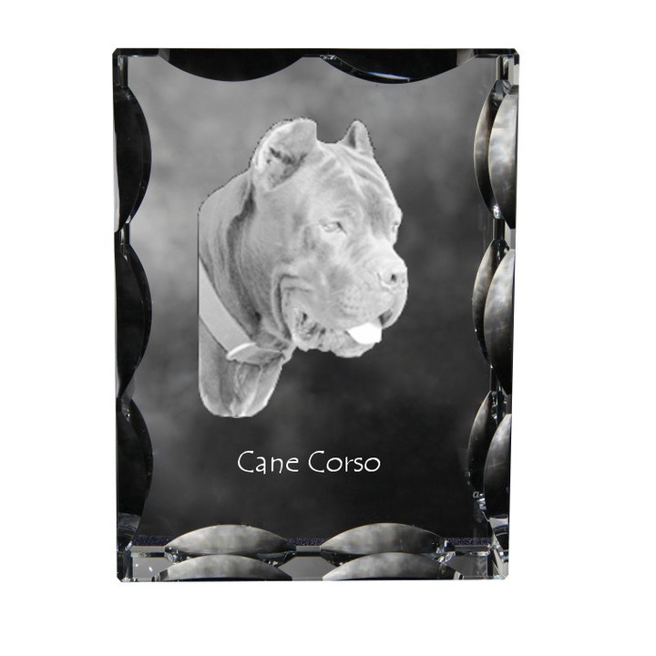 Fényképkeret, Art-Dog, kristály személyre szabott képpel, 12x9x5cm