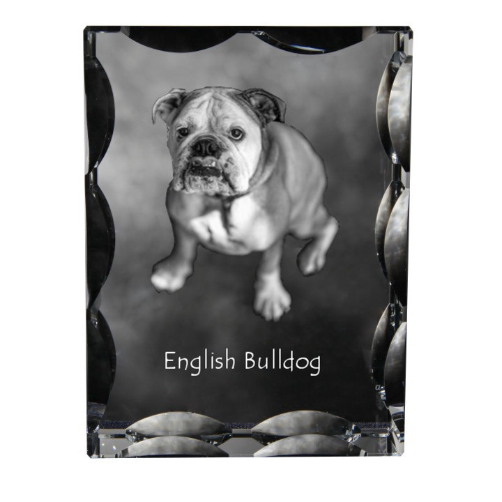 Rama foto clasica, Art-Dog, cristal cu imagine personalizata, 12x9x5cm, transparent, Model Bulldog Englez