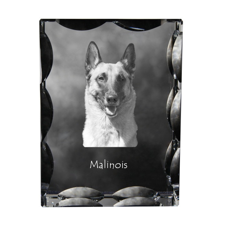 Rama foto personalizata, Art-Dog, cristal optica, 12x9x5cm, Model Ciobanesc Belgian Malinoi