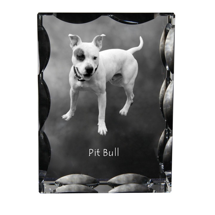 Rama foto din cristal, Art-Dog, personalizat, 12x9x5cm, Model Pit Bull