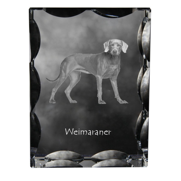 Rama foto din cristal, Art-Dog, personalizata, 12x9x5cm, Model Weimaraner