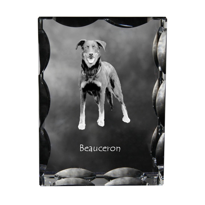 Rama foto clasica, Art-Dog, cu poza personalizata, 12x9x5cm, Model Beauceron