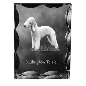 Dekorációs kiegészítők