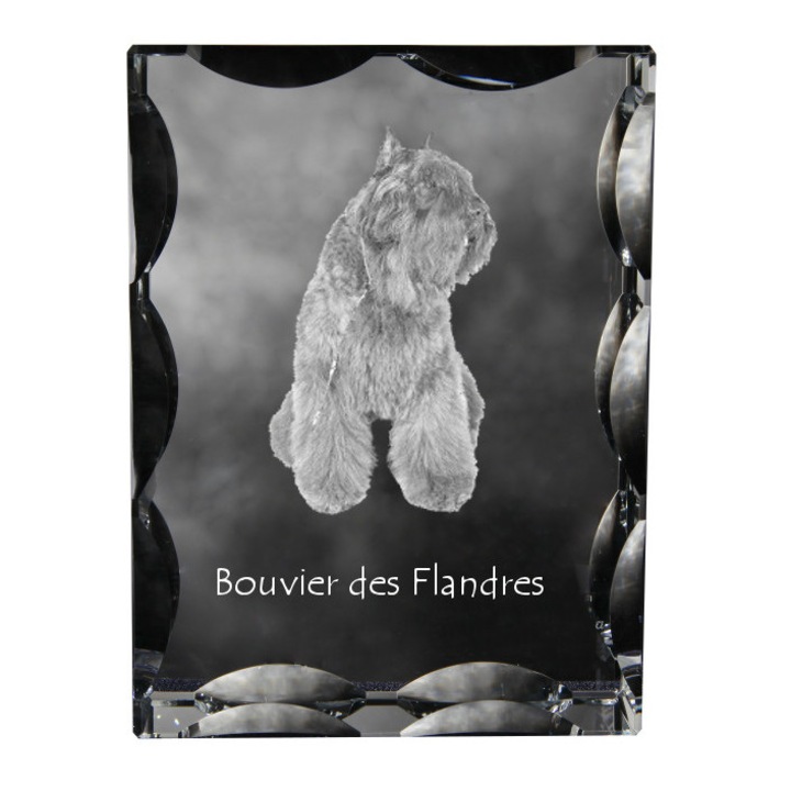 Rama foto din cristal, Art-Dog, personalizata, 12x9x5cm, Model Bouvier des Flandres