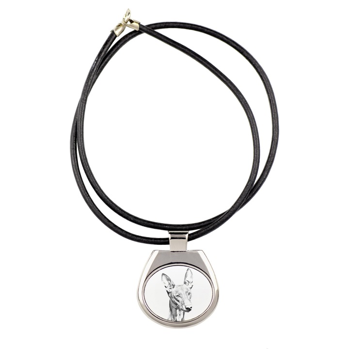 Colier personalizat cu imaginea animalului, Art-Dog, metal, 50cm, 4x3,4cm