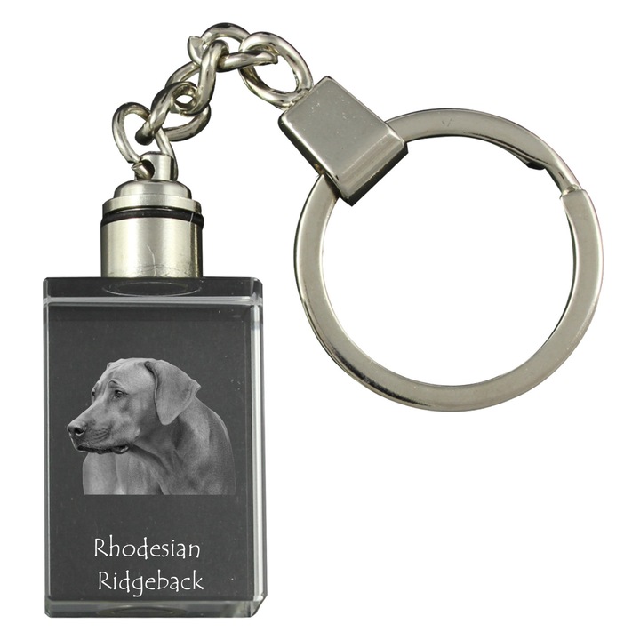 Kristály kulcstartó, Art-Dog, világító, kutyafotó