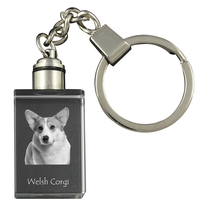 Kristálykulcstartók Pembroke Welsh Corgi képpel, világító kulcstartó, ajándékszett, 20x30x15mm